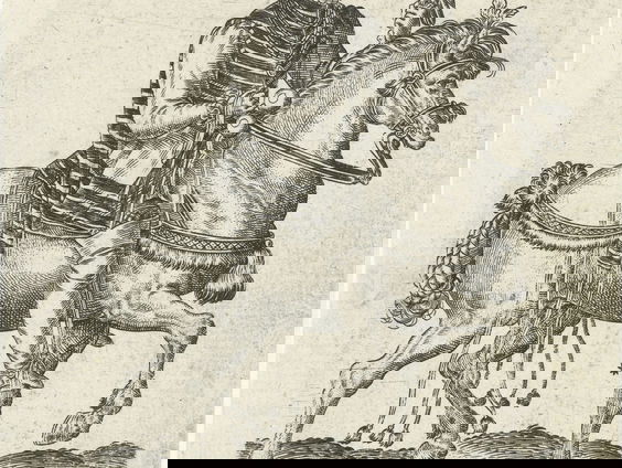 De hedendaagse Nederlandse valkenjacht