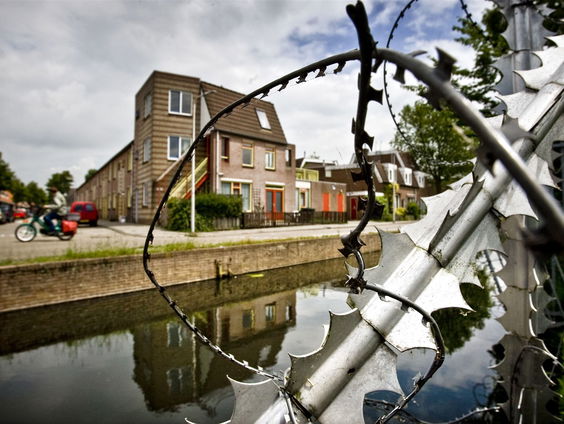 Top 600: meer dan de helft is geestelijk gehandicapt