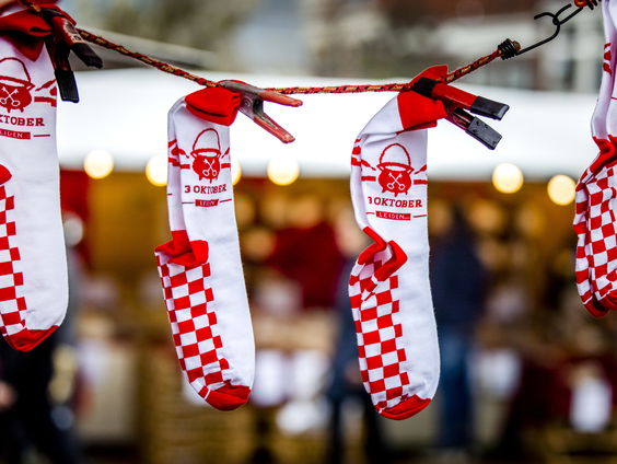 Leiden in 2022 Europese hoofdstad van de wetenschap