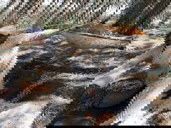 Voedselcrisis teistert grote delen van de wereld