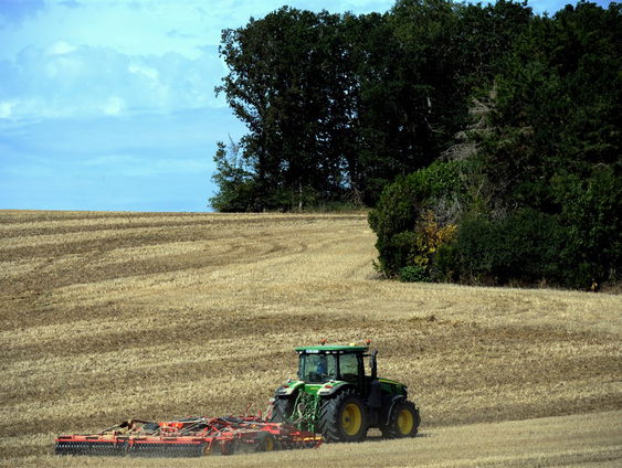 Verhalen van Spraakmakers: Boeren in Nederland - deel 1