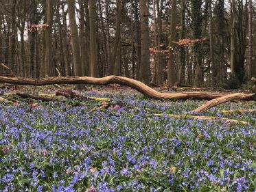 Deel je natuurbeleving: De Natuurmonologen