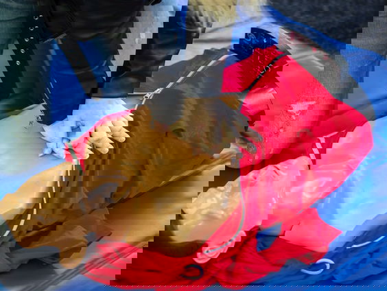 Stand.nl: Reanimatie moet een verplicht onderdeel worden op school