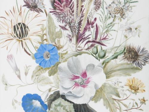 Cultuur: Flower Power in het MOA