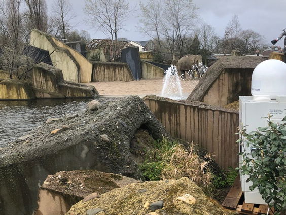 Vogelradar boven Artis