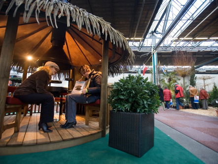 Tuinbezitter moet meer doen tegen wateroverlast