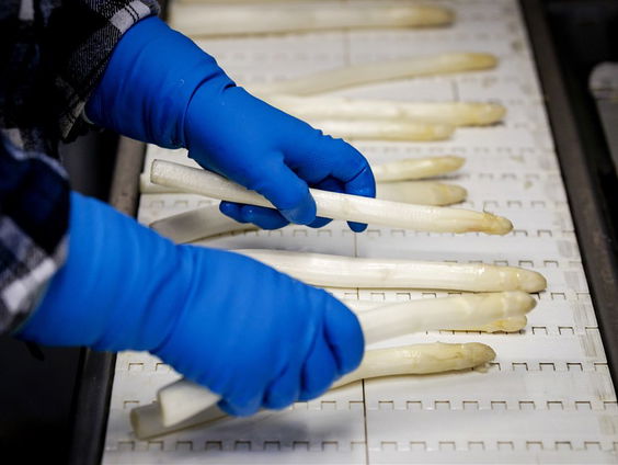 Lidy weet echt alles over de asperge