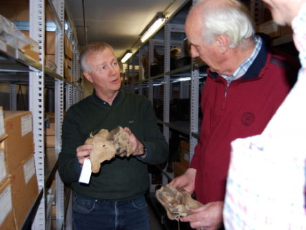 Urker visser speurt naar uitgestorven walvissen