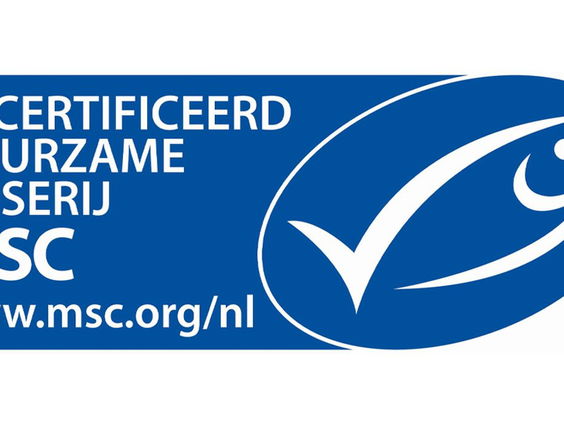 Hoe duurzaam is vis met MSC-certificaat?