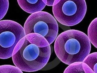 Prijs voor klinisch geneticus Stefan Barakat