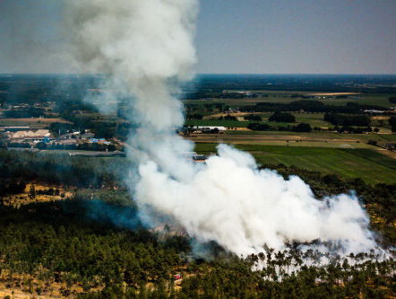 Veel bosbranden blijken te zijn aangestoken: wat beweegt een pyromaan?