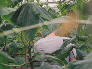 Podkas: Pawel, de Poolse Plukker (3/4)