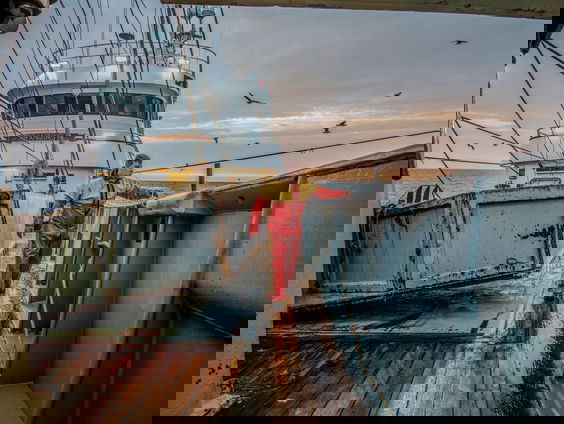 SGP in debat met Partij voor de Dieren over Biodiversiteitstrategie in Europa