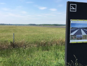 Soesterberg: villa's of veldleeuweriken?