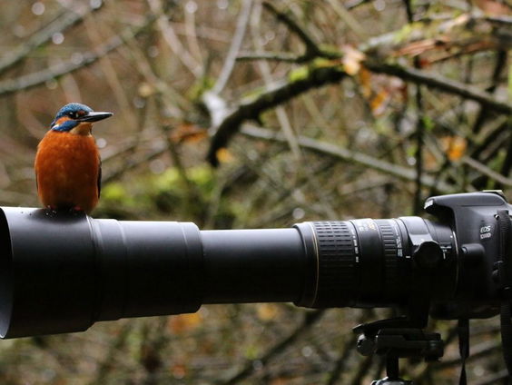 Natuurfotografie en ethiek