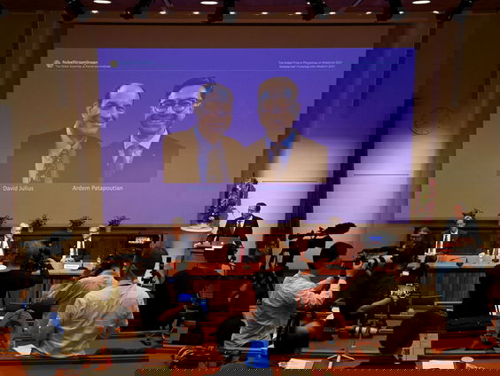 Nobelprijs voor onderzoek naar voelen van aanrakingen, warmte en kou