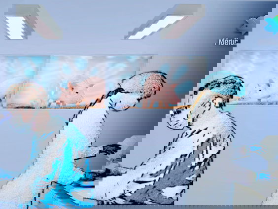 Gaan dieren mensenlevens redden?