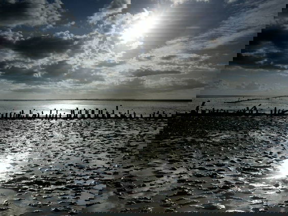 Komen er gasboringen onder de Waddenzee?