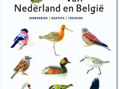 Natuurrubriek: de Nationale Tuinvogeltelling