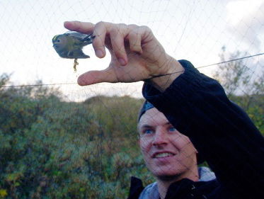 Topdrukte op de ringbaan