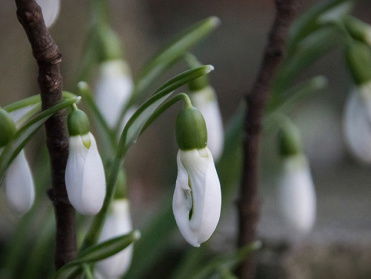 150 jaar natuurwaarnemingen