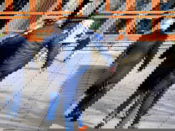 Kerkbezoekers in Urk en Krimpen aan den IJssel belagen journalisten