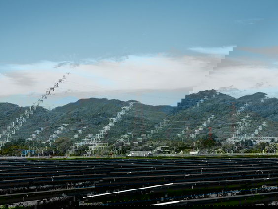 De Spelen van het herstel van Fukushima