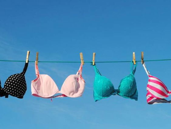 De doldwaze avonturen van de BH