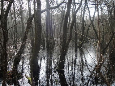 Rode lijst voor landschappen