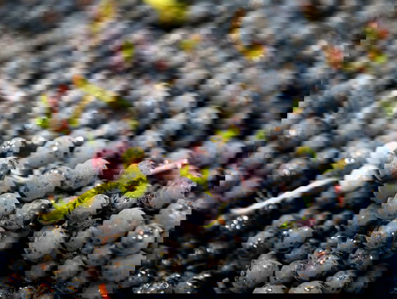 Onderweg honger? In dit bushokje kan je een stuk fruit pakken