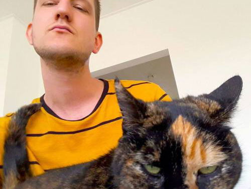 Hoe gaat het met de Kunstenaar in Nederland?