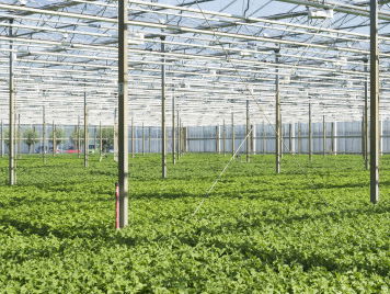 Waar moeten al de arbeidsmigranten wonen?