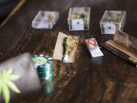 Stand.nl over legaliseren van wietteelt