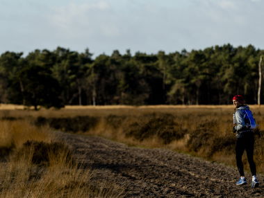 Ode aan het Nederlandse landschap: de Loonse en Drunense duinen