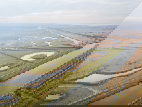 Geef de natuur een prijskaartje