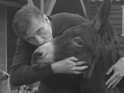 Cultuur: Het is gezien, 50 jaar Ezelproces