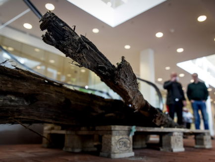 Thuis zoeken naar archeologisch erfgoed op de Utrechtse Heuvelrug