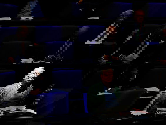 Duitse geheime dienst: rechts-populistische partij AfD potentieel gevaar voor democratie