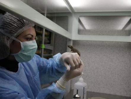 Een pil tegen ouderdom