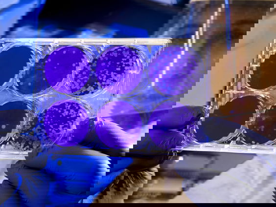 Redteam houdt beleidsmakers coronabeleid een spiegel voor