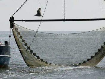 Kabinet trekt 10 miljoen euro uit voor visserij: is dat genoeg?