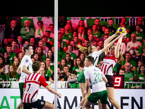 Ran Faber en het geheim van de korfbaldata