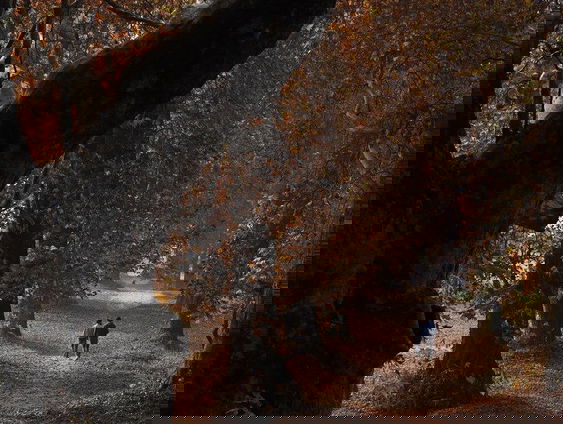 Yes, eindelijk herfst! Een Frisse Ode aan de Herfst!