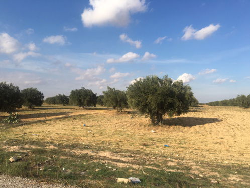 Klimaatverandering gevaar voor landbouw en toerisme in Tunesië