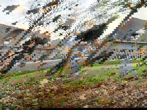 'Laat de bladblazer staan en geef de natuur de ruimte'