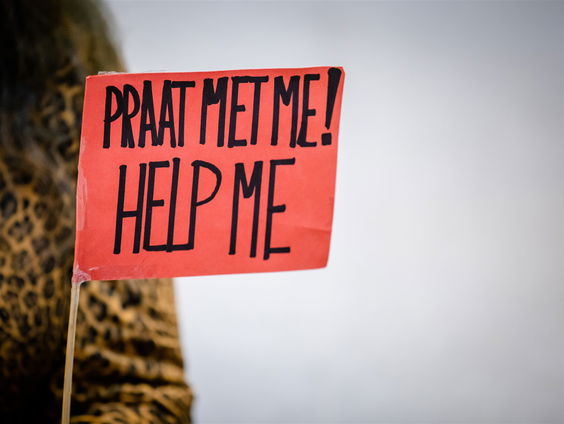 Heldere doelen belangrijk voor personen met psychische problemen