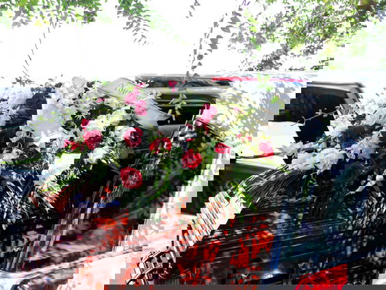 "Mijn haat-liefdeverhouding met de dood is omgeslagen"