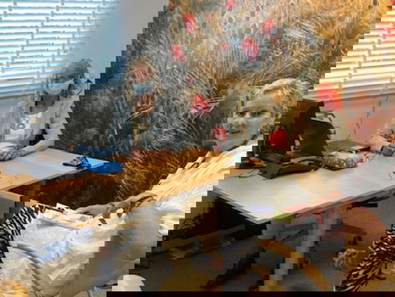 Verhalen van Spraakmakers: Bakkeveen wil het gezondste dorp van Nederland worden - deel 5