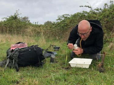 Kevers van Schilthuizen