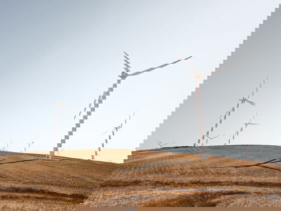 Zorgt een likje verf op een windmolen voor minder vogelsterfte?